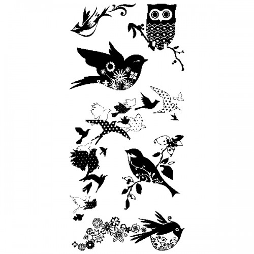 BirdsGalore