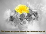 Don’t waste your tears crying over someone