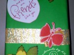 Domino book I made for CASE