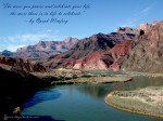 The more you praise and celebrate your life